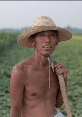 Autumn, Winter and Summer