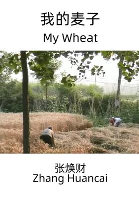 My Wheat